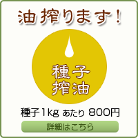 エゴマ、ツバキなど種子の搾油お受けします！