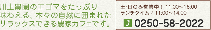 川上農園のエゴマをたっぷり味わえる　木々の自然に囲まれた　リラックスできる農家カフェです。